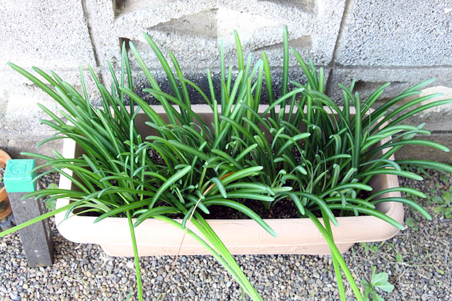 f:id:takahikonojima:20201029070913j:plain