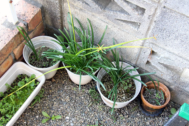 f:id:takahikonojima:20201031080728j:plain