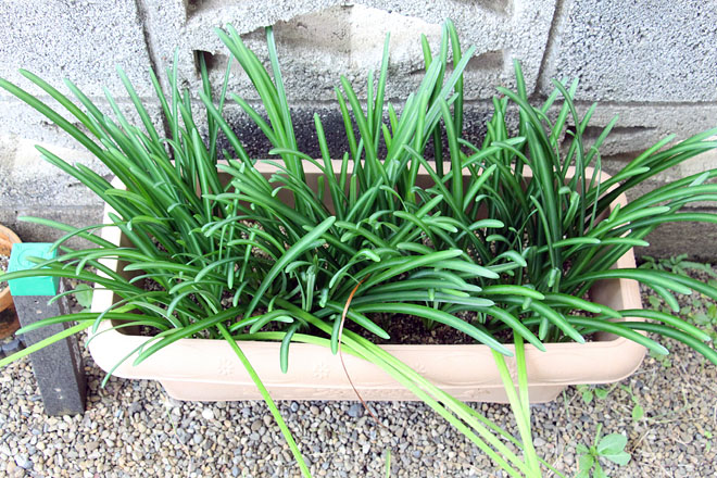 f:id:takahikonojima:20201101074511j:plain