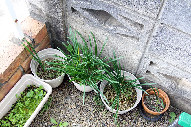 f:id:takahikonojima:20201102074503j:plain