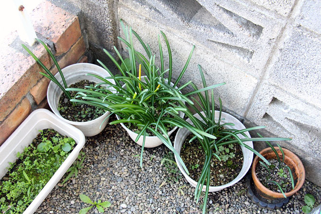 f:id:takahikonojima:20201104092949j:plain