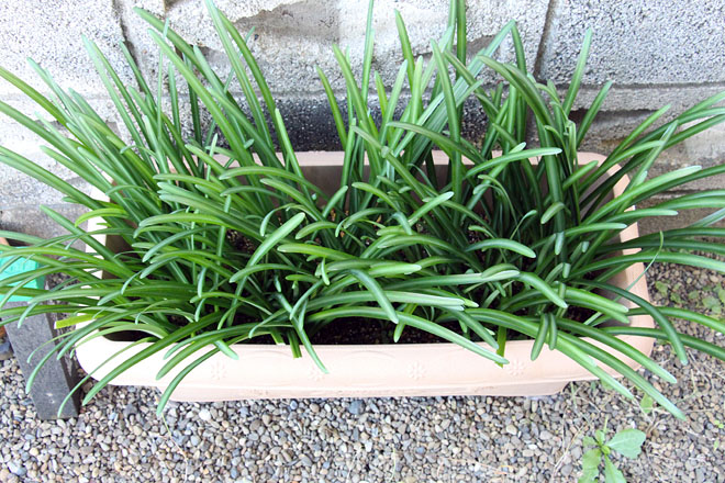 f:id:takahikonojima:20201104092952j:plain