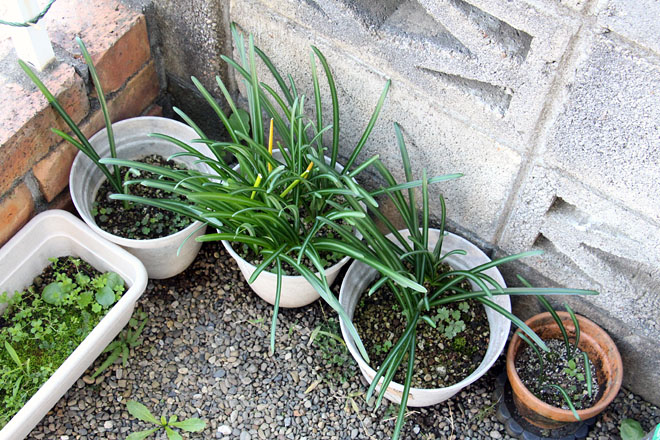 f:id:takahikonojima:20201105084300j:plain