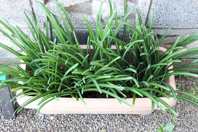 f:id:takahikonojima:20201105084303j:plain