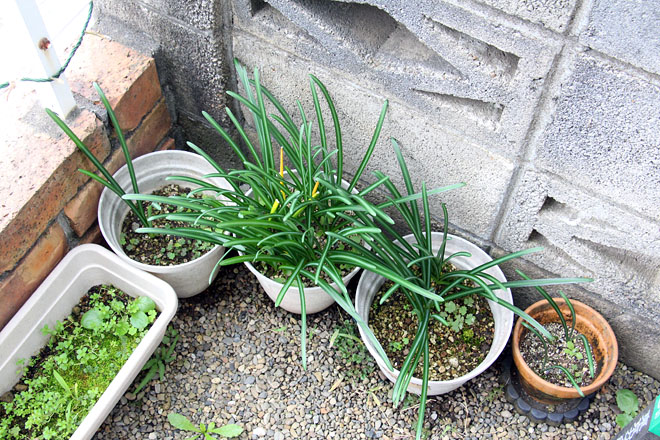 f:id:takahikonojima:20201106080846j:plain