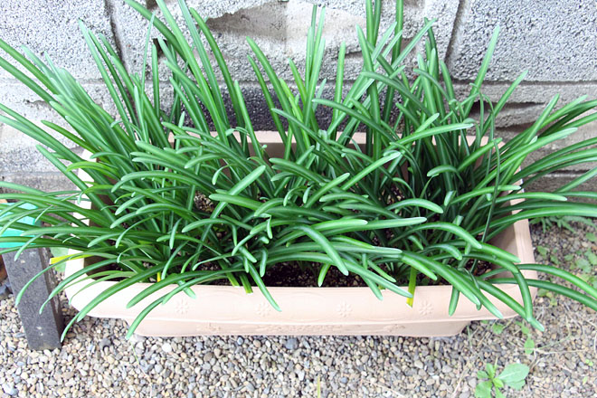 f:id:takahikonojima:20201106080849j:plain