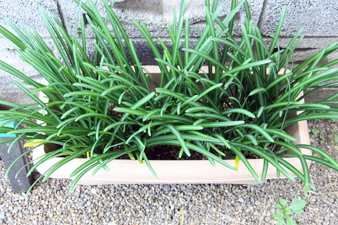 f:id:takahikonojima:20201107073954j:plain