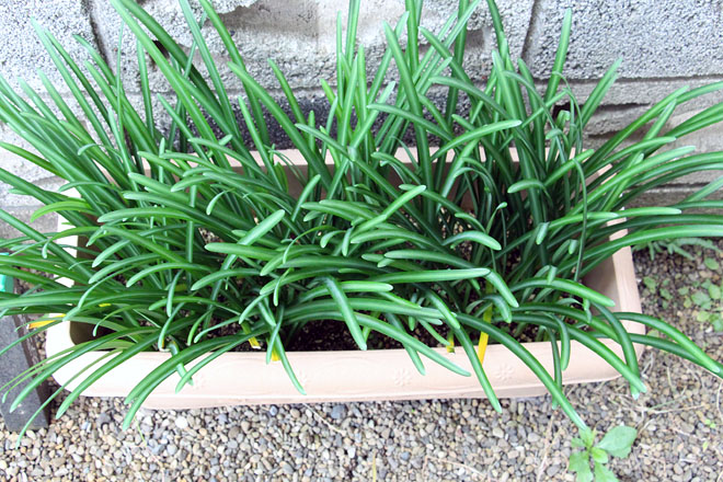 f:id:takahikonojima:20201108074827j:plain