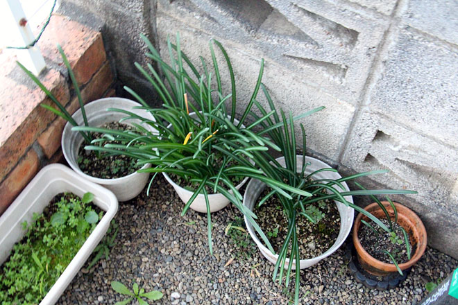 f:id:takahikonojima:20201110062020j:plain