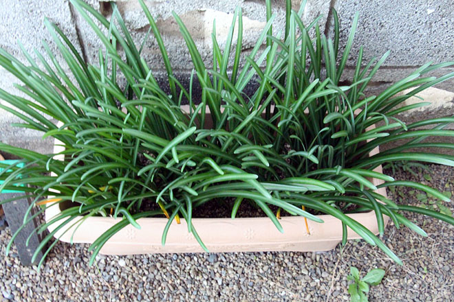 f:id:takahikonojima:20201110062024j:plain