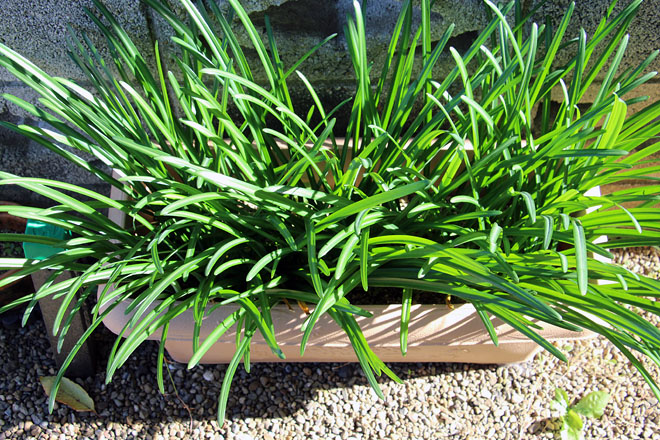 f:id:takahikonojima:20201111131521j:plain