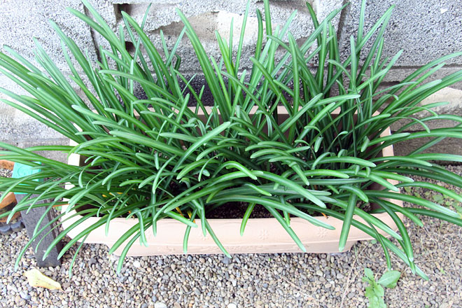 f:id:takahikonojima:20201112075219j:plain