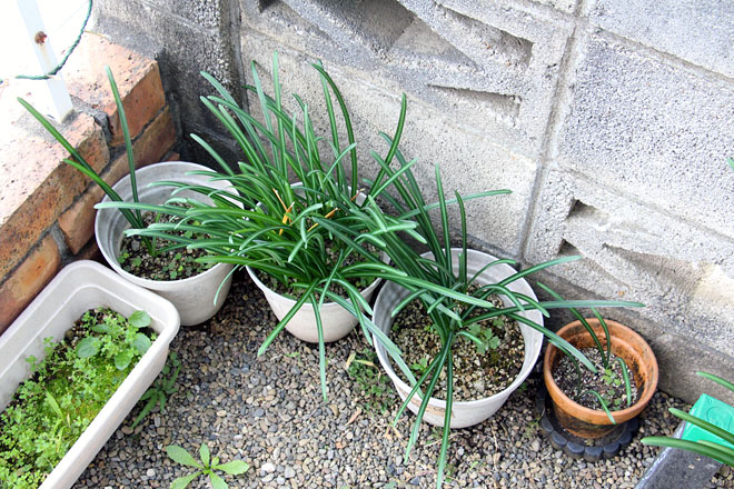 f:id:takahikonojima:20201113080148j:plain