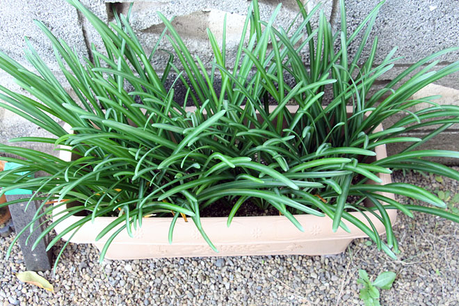 f:id:takahikonojima:20201113080151j:plain