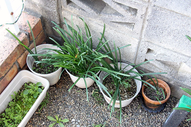 f:id:takahikonojima:20201114075648j:plain