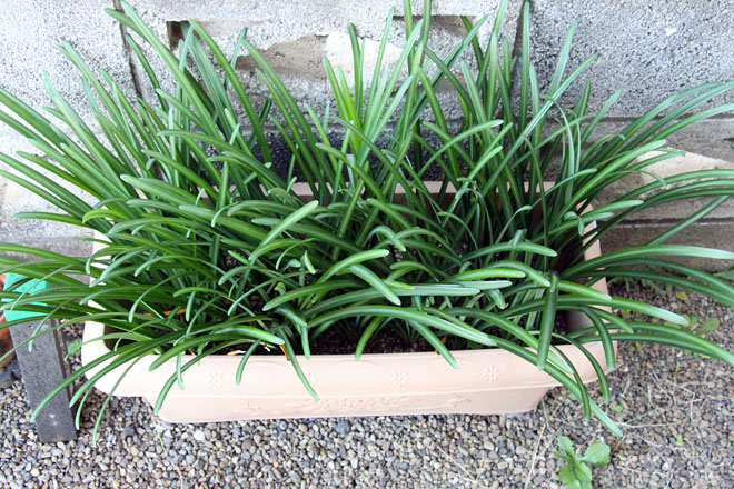 f:id:takahikonojima:20201114075652j:plain