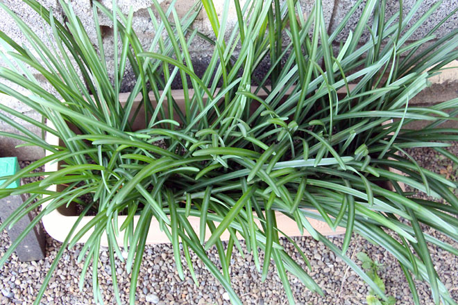 f:id:takahikonojima:20201122071530j:plain