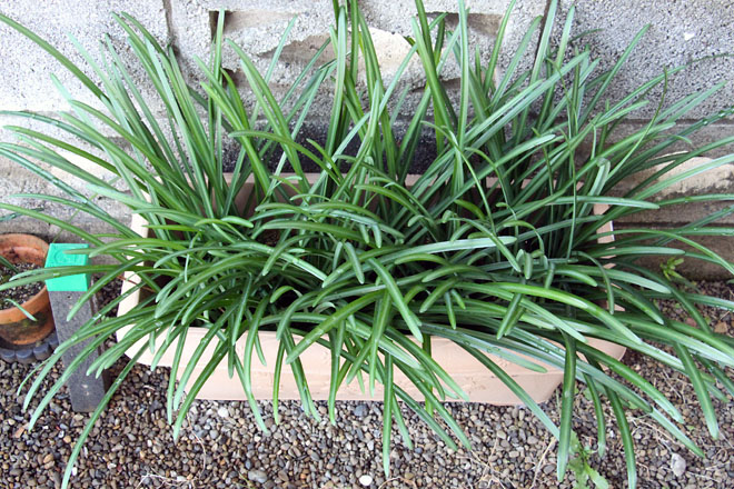 f:id:takahikonojima:20201126075627j:plain