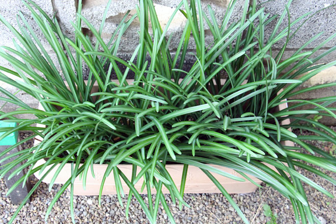 f:id:takahikonojima:20201127074247j:plain