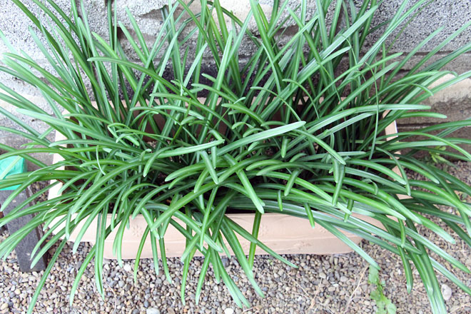 f:id:takahikonojima:20201129081318j:plain