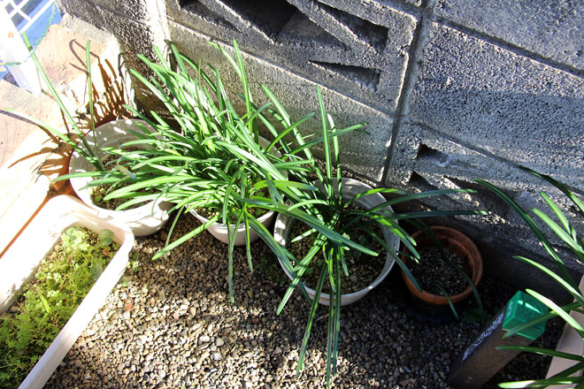 f:id:takahikonojima:20201130134003j:plain