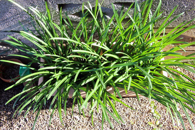 f:id:takahikonojima:20201130134005j:plain