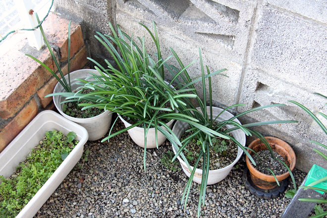 f:id:takahikonojima:20201201083015j:plain