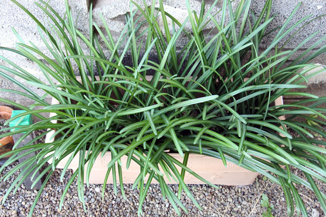 f:id:takahikonojima:20201201083018j:plain