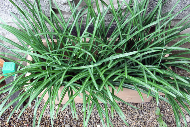 f:id:takahikonojima:20201203084910j:plain