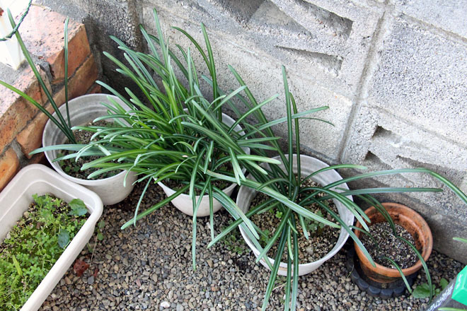 f:id:takahikonojima:20201204154205j:plain