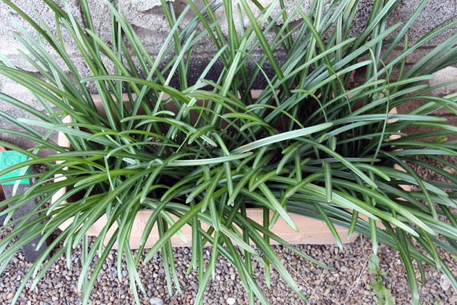 f:id:takahikonojima:20201204154209j:plain