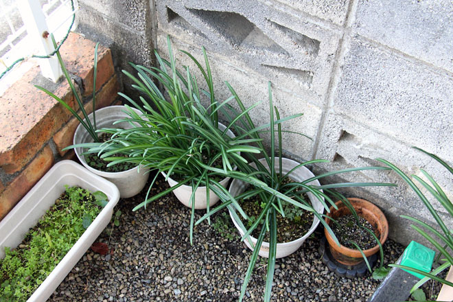 f:id:takahikonojima:20201207080630j:plain