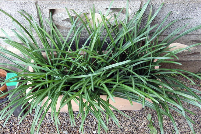 f:id:takahikonojima:20201207080633j:plain