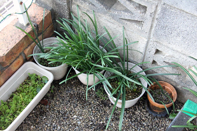 f:id:takahikonojima:20201208071244j:plain