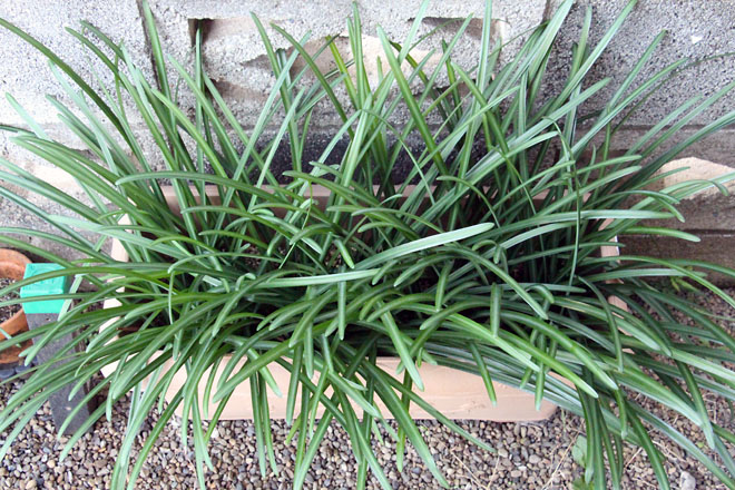 f:id:takahikonojima:20201208071247j:plain