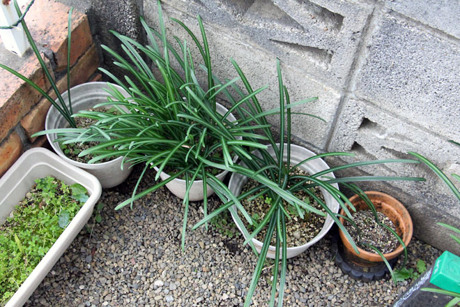 f:id:takahikonojima:20201209075711j:plain