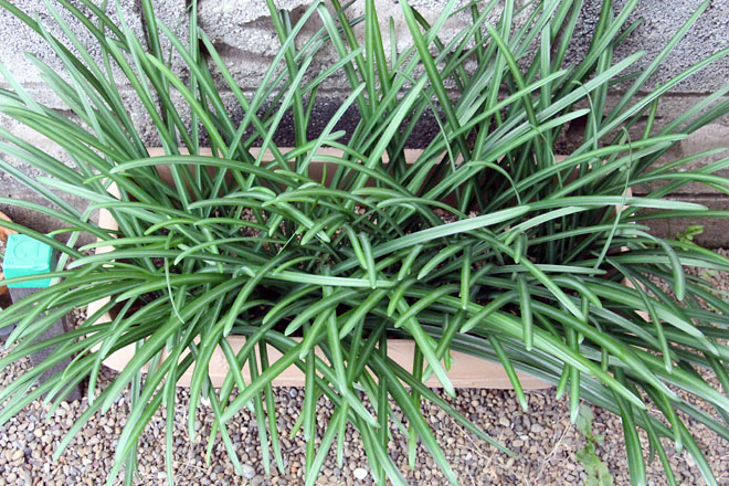 f:id:takahikonojima:20201209075714j:plain