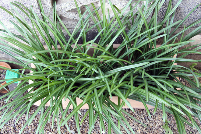 f:id:takahikonojima:20201211091718j:plain