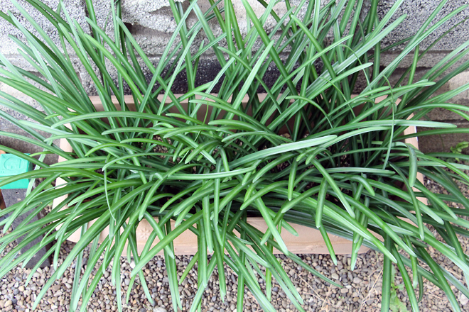 f:id:takahikonojima:20201212084806j:plain