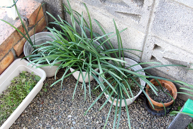 f:id:takahikonojima:20210103111055j:plain