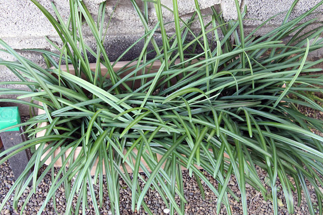 f:id:takahikonojima:20210103111058j:plain