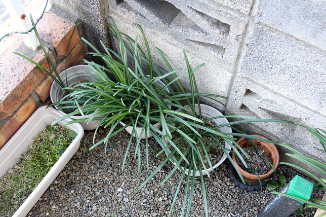 f:id:takahikonojima:20210104102255j:plain