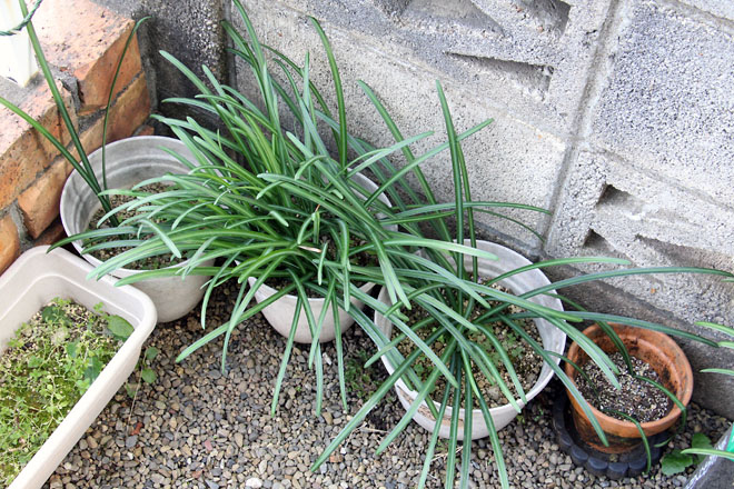 f:id:takahikonojima:20210105103418j:plain