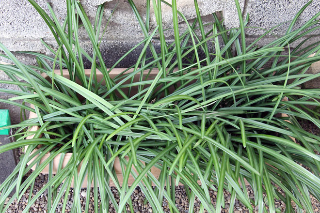 f:id:takahikonojima:20210105103422j:plain