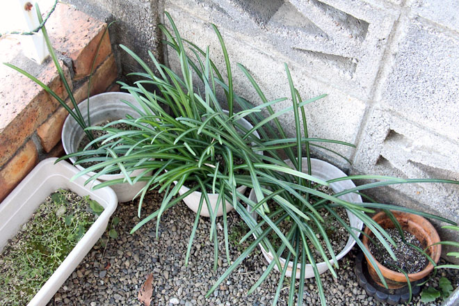 f:id:takahikonojima:20210108083511j:plain