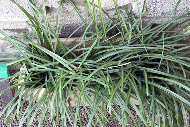 f:id:takahikonojima:20210108083515j:plain