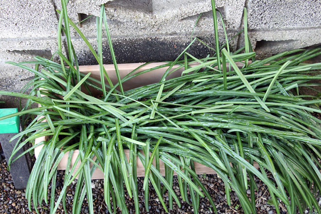 f:id:takahikonojima:20210125110454j:plain