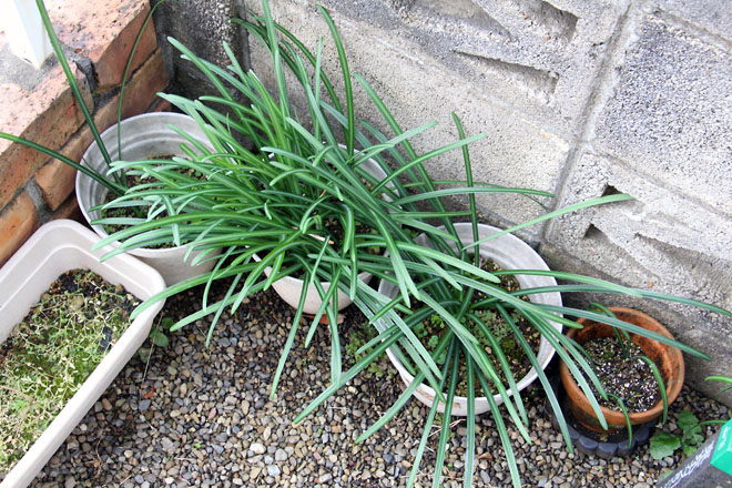 f:id:takahikonojima:20210126092319j:plain