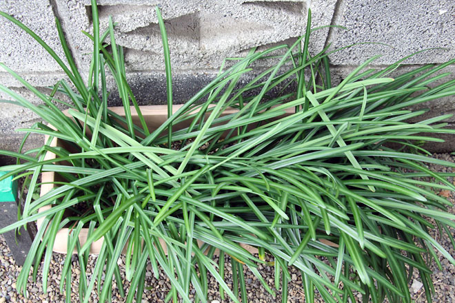 f:id:takahikonojima:20210128090055j:plain