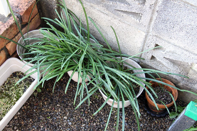 f:id:takahikonojima:20210129084252j:plain